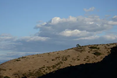 DSC_5547 (Large).JPG